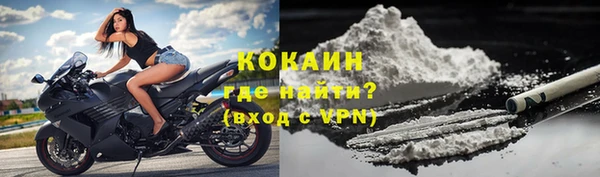 индика Пересвет
