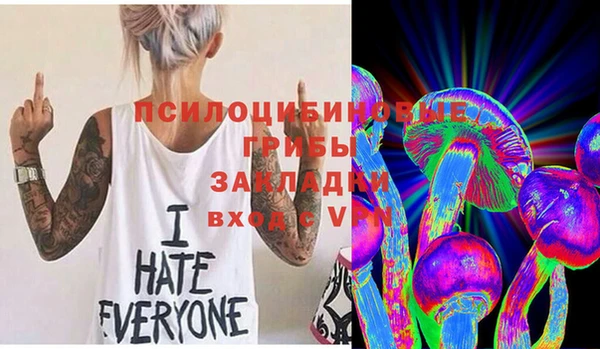 гашик Беломорск