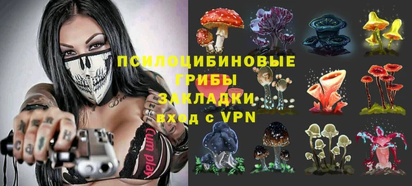 не бодяженный Белокуриха
