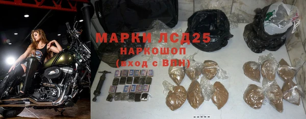 гашик Беломорск