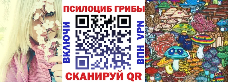 закладки  ссылка на мегу рабочий сайт  Псилоцибиновые грибы Magic Shrooms  Славгород 