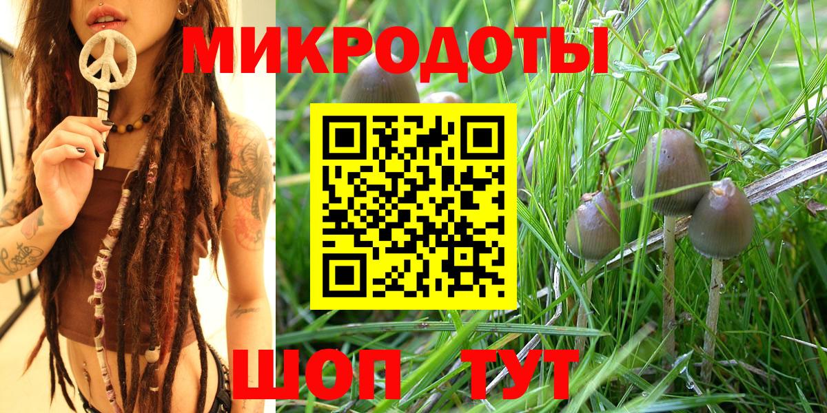 Галлюциногенные грибы прущие грибы Славгород