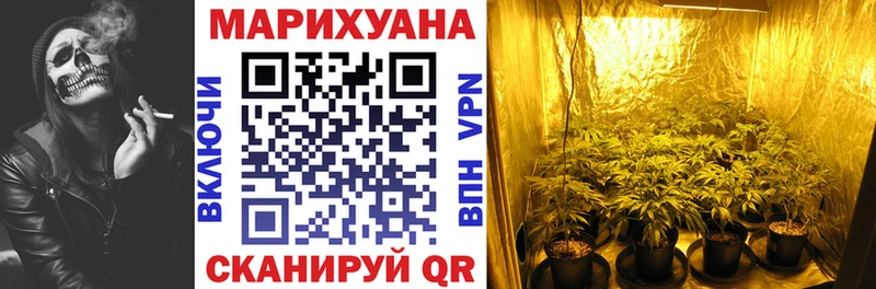 Конопля ГИДРОПОН Славгород