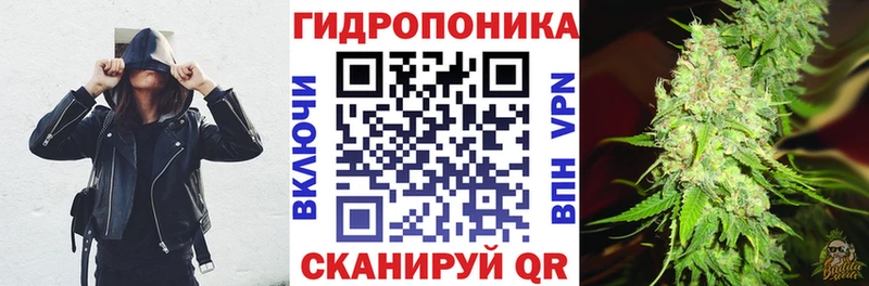 Бошки марихуана индика  наркота  Славгород 